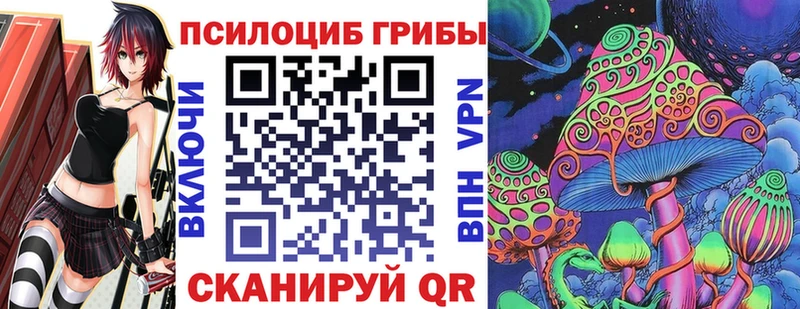 Псилоцибиновые грибы прущие грибы  мега маркетплейс  Каменка 